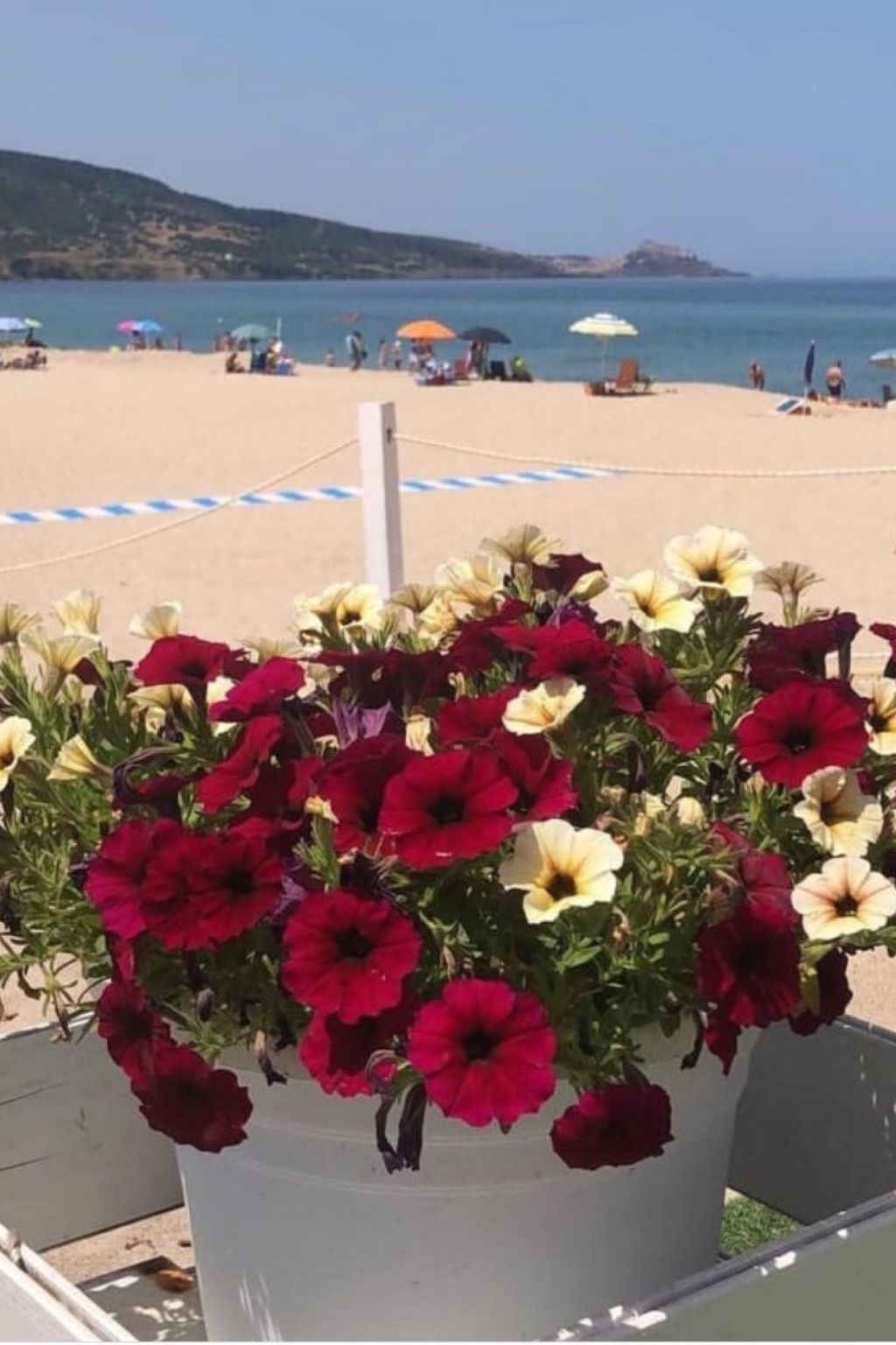 Magnolie - Appartement à 100 m de la plage - Photo 16