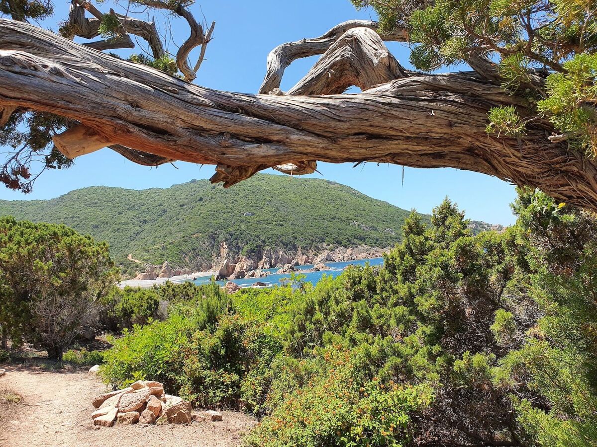 Appartement Costa Paradiso avec piscine privée et vue mer - Photo 20