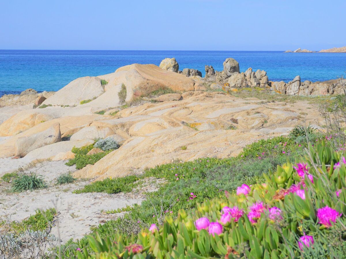 Appartement 4 pers. avec vue mer à Santa Teresa di Gallura - Photo 20