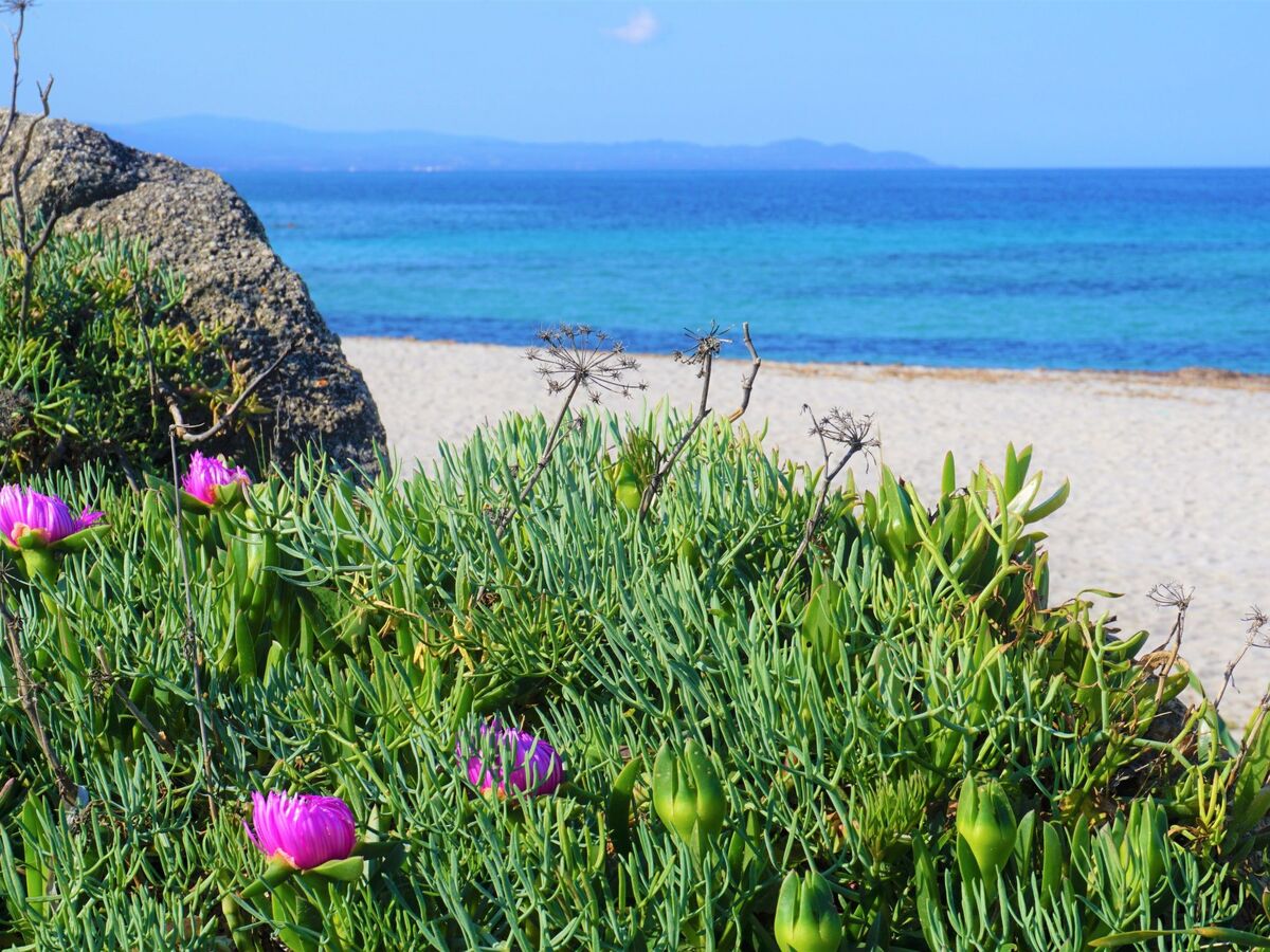 Appartement 4 pers. avec vue mer à Santa Teresa di Gallura - Photo 21