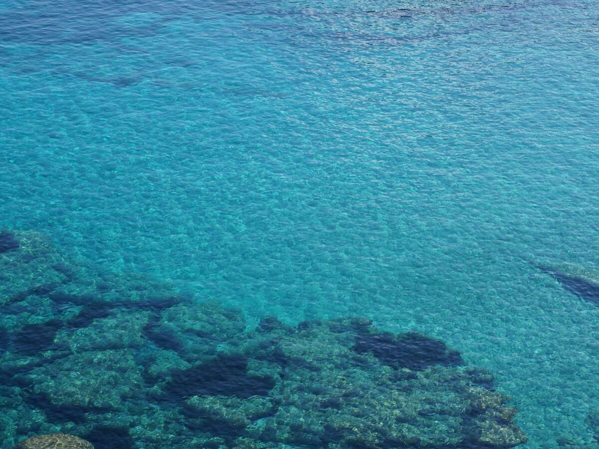 Appartement 4 pers. avec vue mer à Santa Teresa di Gallura - Photo 25