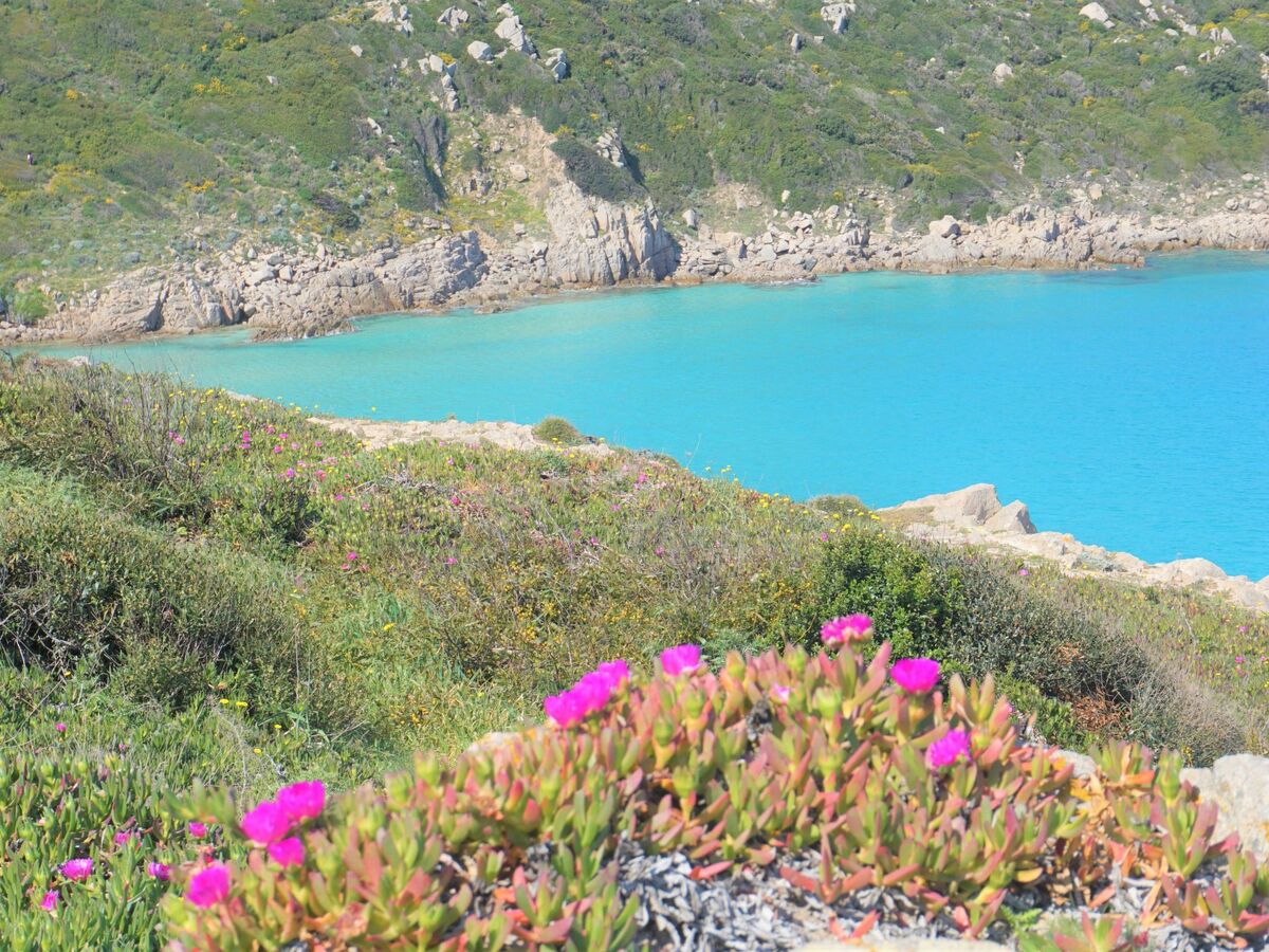 Appartement 4 pers. avec vue mer à Santa Teresa di Gallura - Photo 35