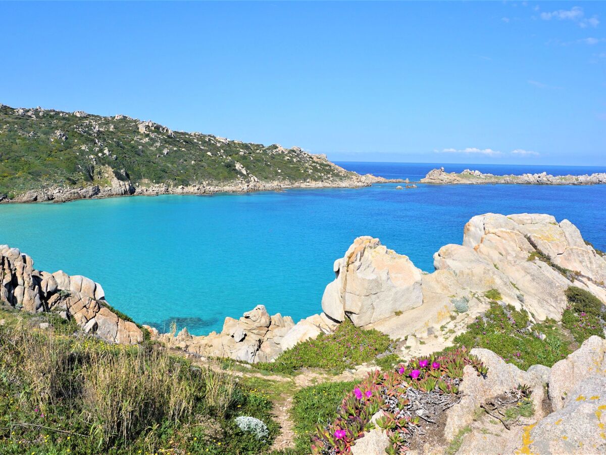 Appartement 4 pers. avec vue mer à Santa Teresa di Gallura - Photo 38