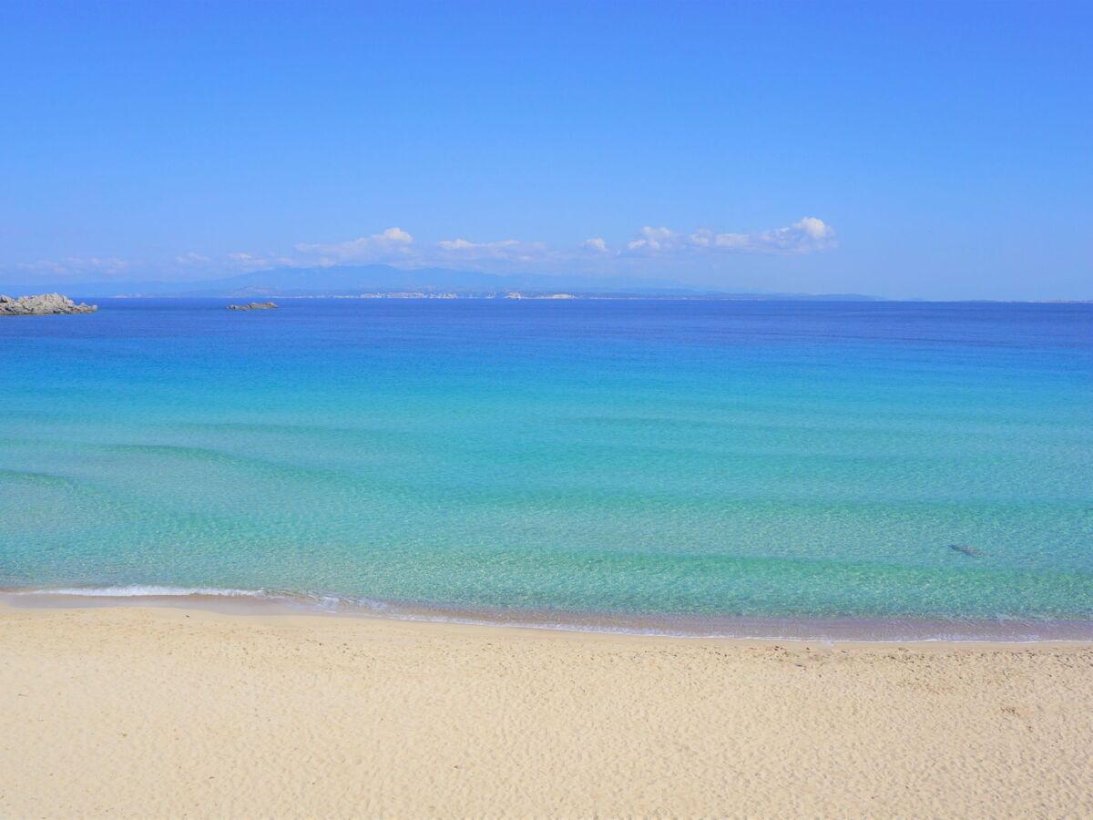 Appartement 4 pers. avec vue mer à Santa Teresa di Gallura - Photo 40