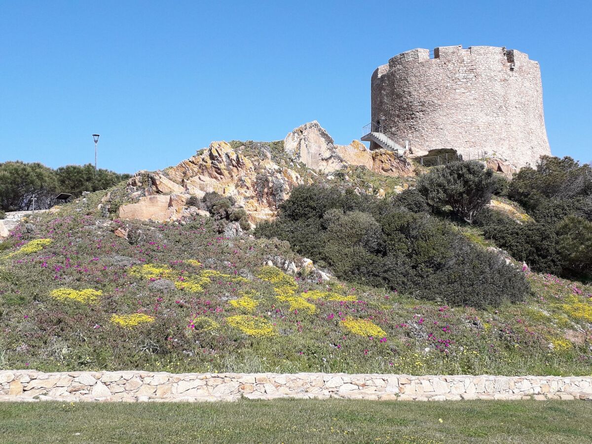 Casa degli Oleandri - Appartement 4 pers. Santa Teresa Gallura - Photo 6