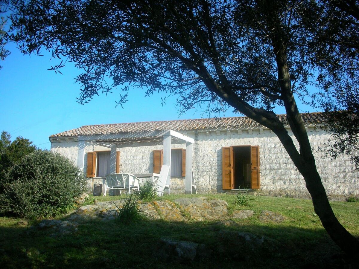 Stazzo traditionnel avec hectare de terrain à Luogosanto - Photo 2