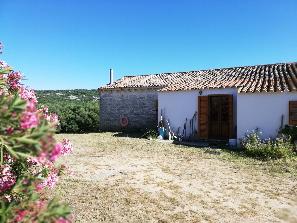 Stazzo traditionnel avec hectare de terrain à Luogosanto - Photo 4