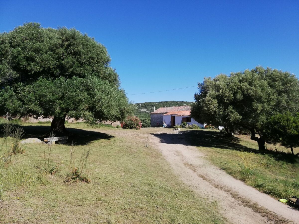 Stazzo traditionnel avec hectare de terrain à Luogosanto - Photo 6