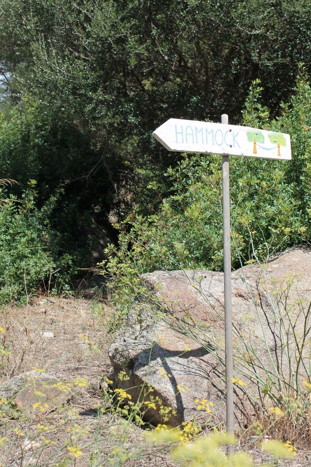 Stazzo traditionnel avec hectare de terrain à Luogosanto - Photo 31