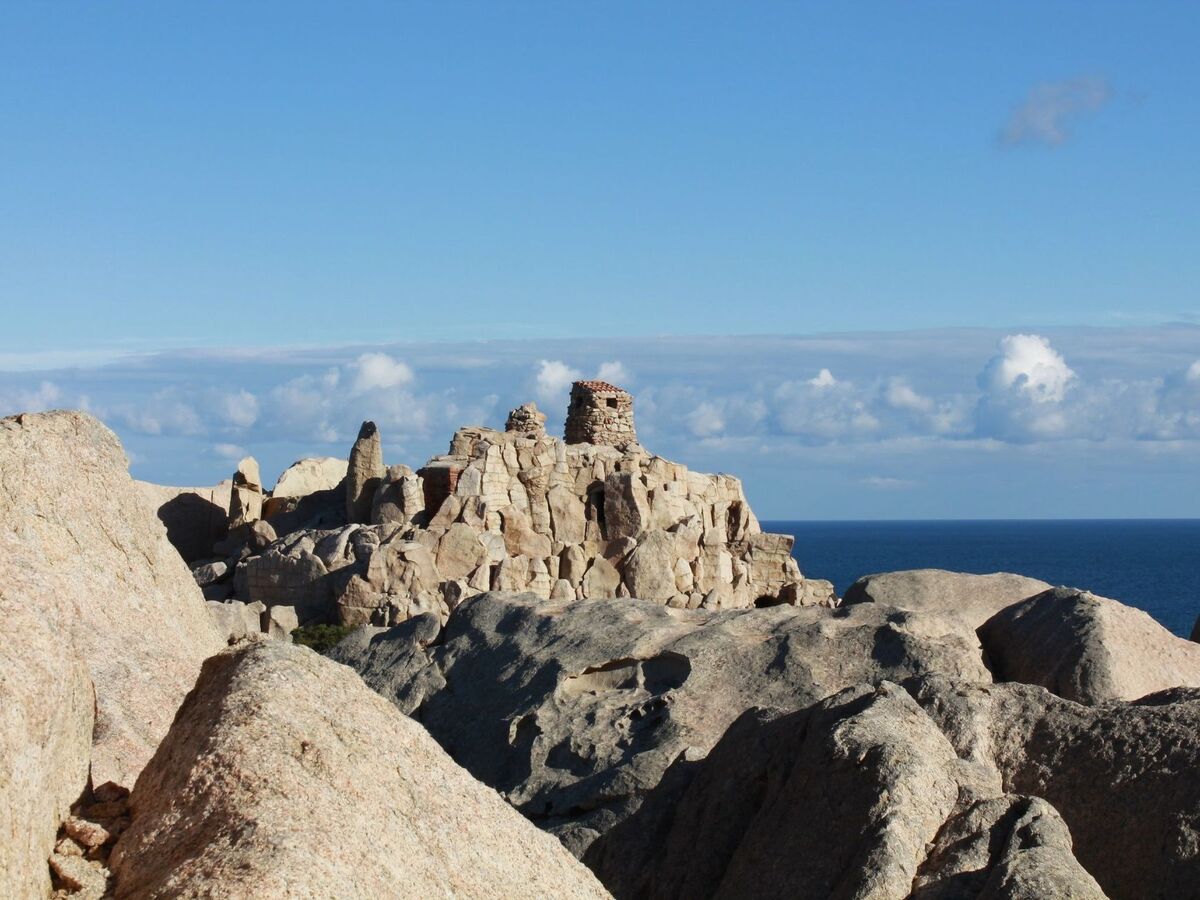 Stazzo traditionnel avec hectare de terrain à Luogosanto - Photo 34