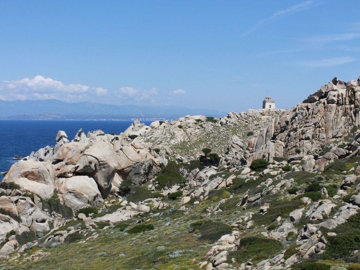 Stazzo traditionnel avec hectare de terrain à Luogosanto - Photo 35