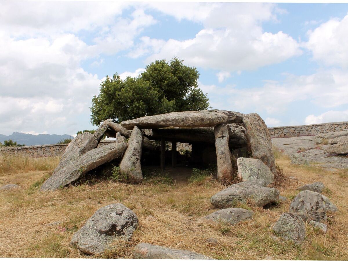 Stazzo traditionnel avec hectare de terrain à Luogosanto - Photo 38