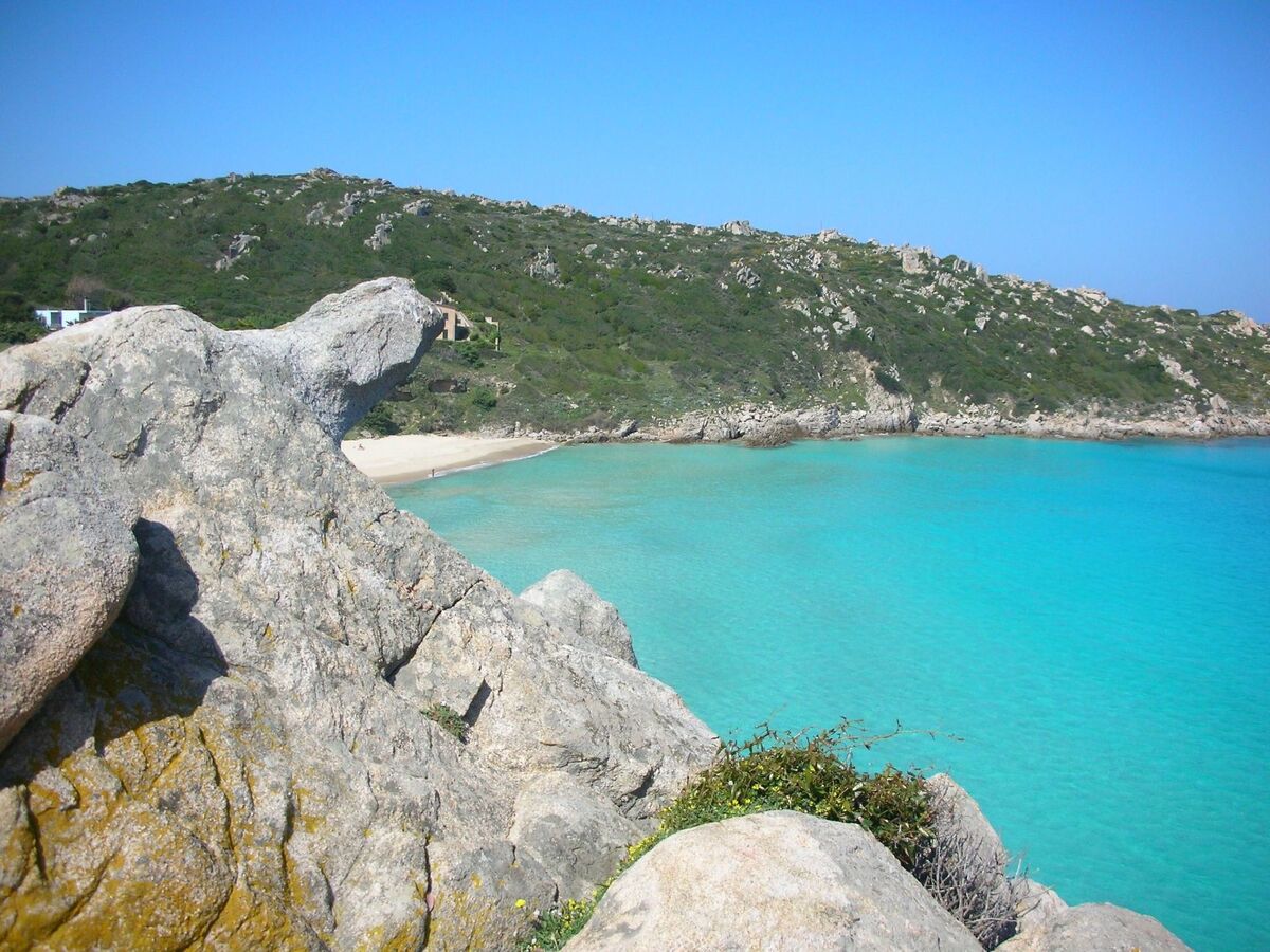 Stazzo traditionnel avec hectare de terrain à Luogosanto - Photo 46