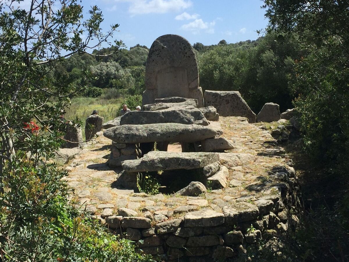 Stazzo traditionnel avec hectare de terrain à Luogosanto - Photo 51