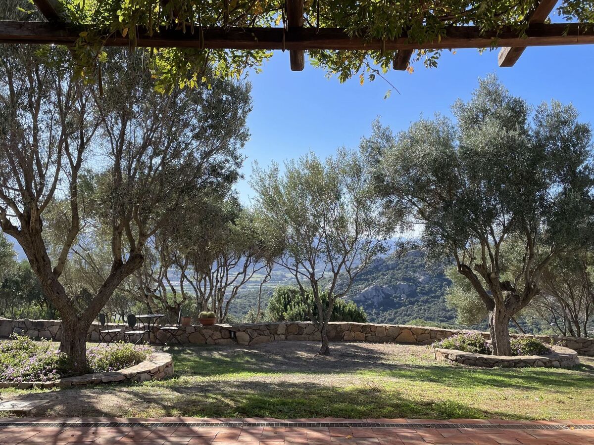 Stazzu Sardaigne : villa 6 pers. avec piscine, vue mer et montagne - Photo 31