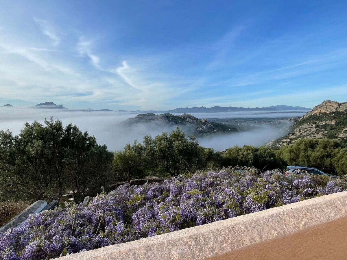 Stazzu Sardaigne : villa 6 pers. avec piscine, vue mer et montagne - Photo 40