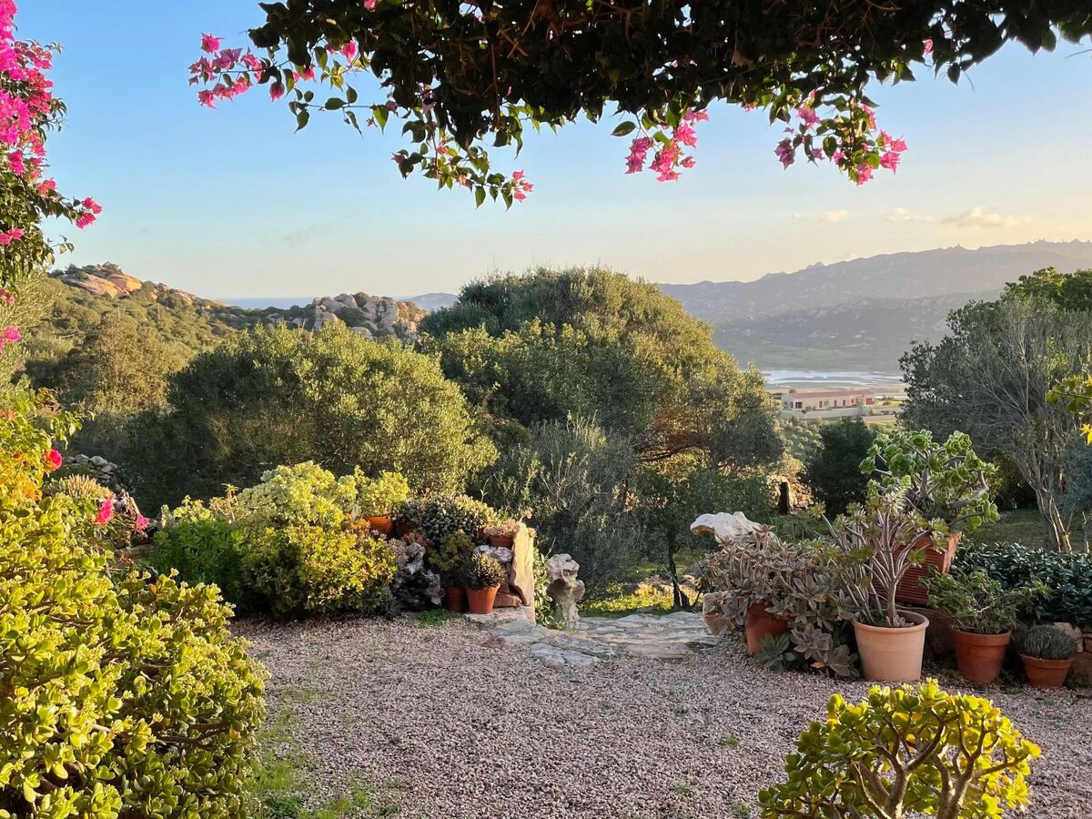 Stazzu Sardaigne : villa 6 pers. avec piscine, vue mer et montagne - Photo 41