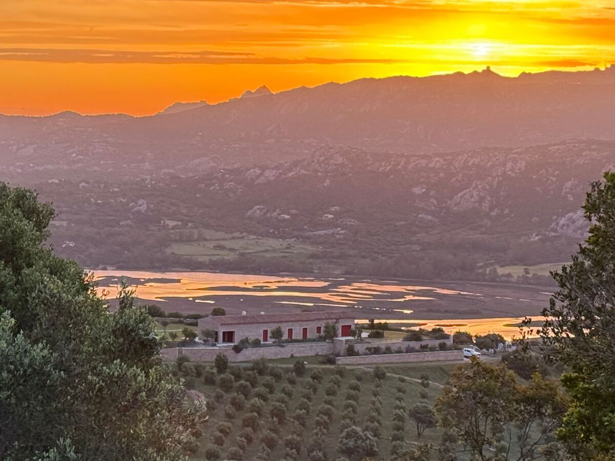 Stazzu Sardaigne : villa 6 pers. avec piscine, vue mer et montagne - Photo 42