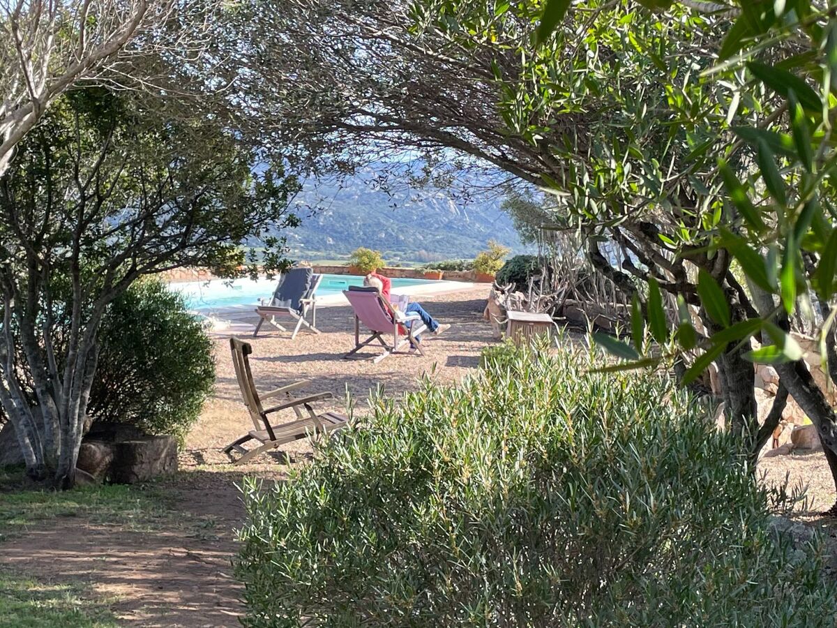 Stazzu Sardaigne : villa 6 pers. avec piscine, vue mer et montagne - Photo 47
