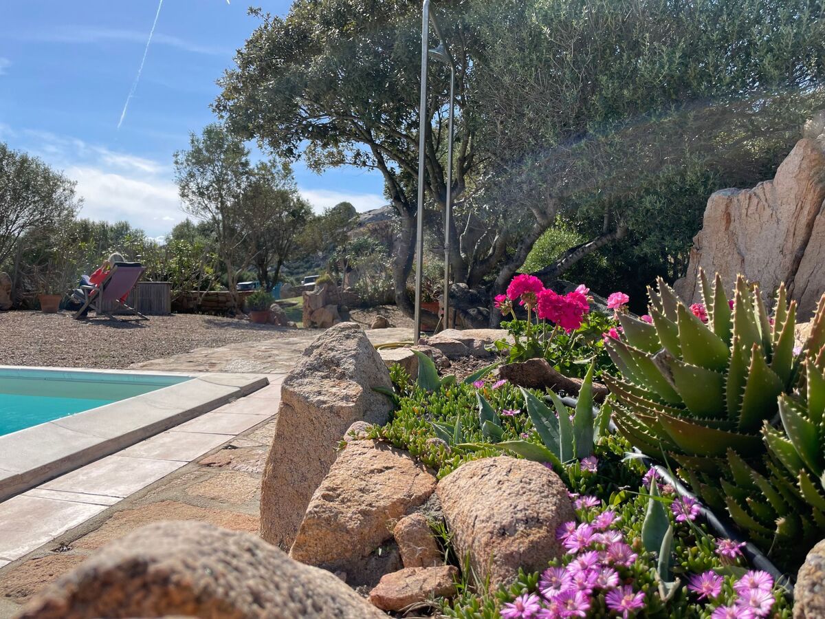 Stazzu Sardaigne : villa 6 pers. avec piscine, vue mer et montagne - Photo 48