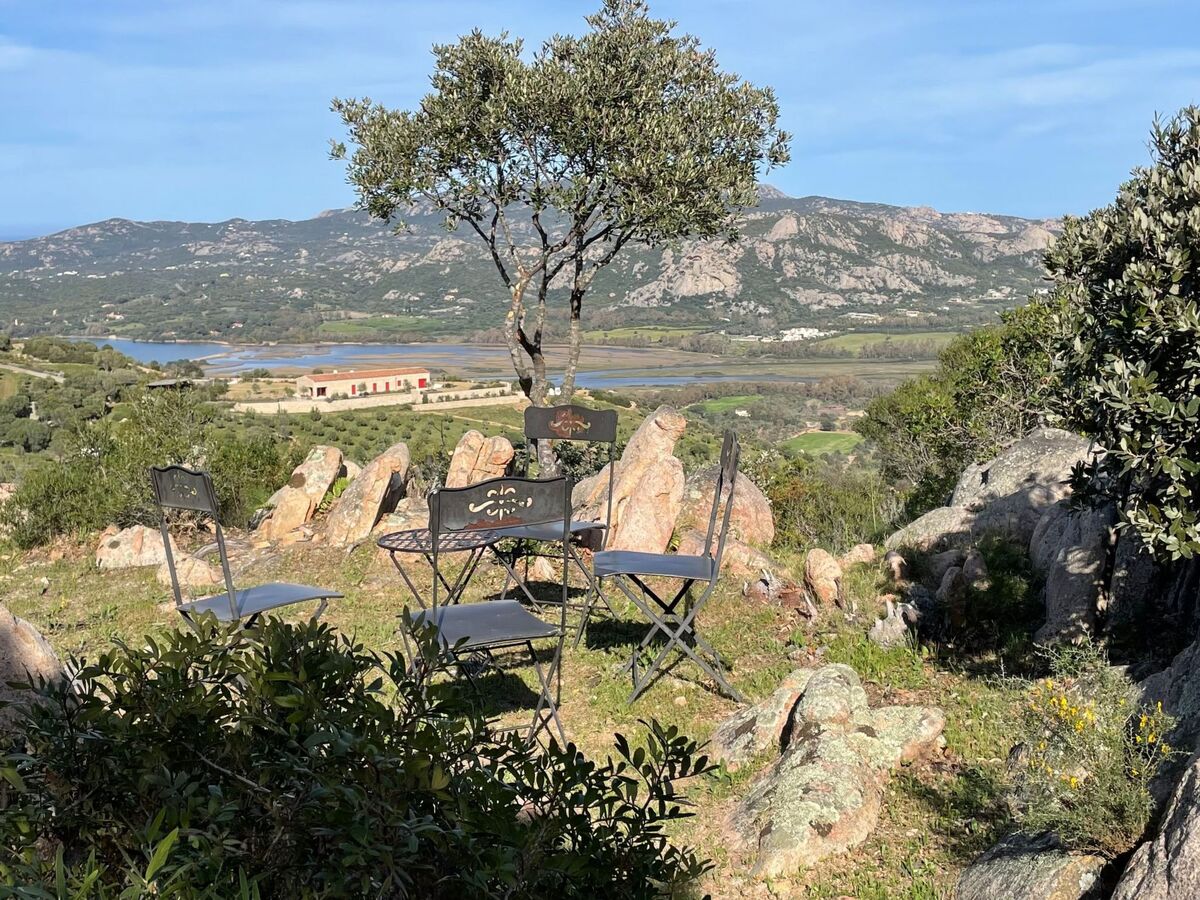 Stazzu Sardaigne : villa 6 pers. avec piscine, vue mer et montagne - Photo 49