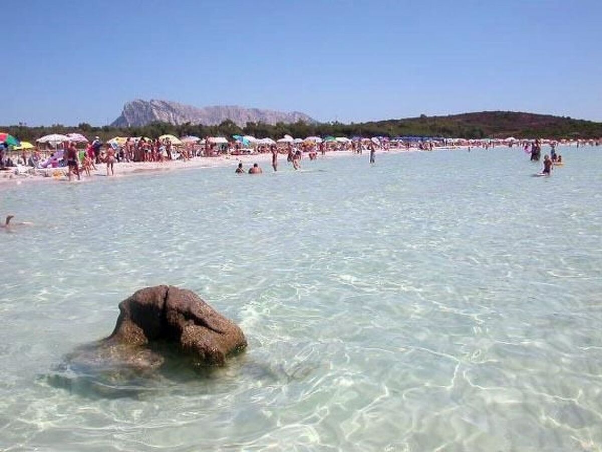 Maison San Teodoro, jardin privé 200m², 1 km plage - Photo 13