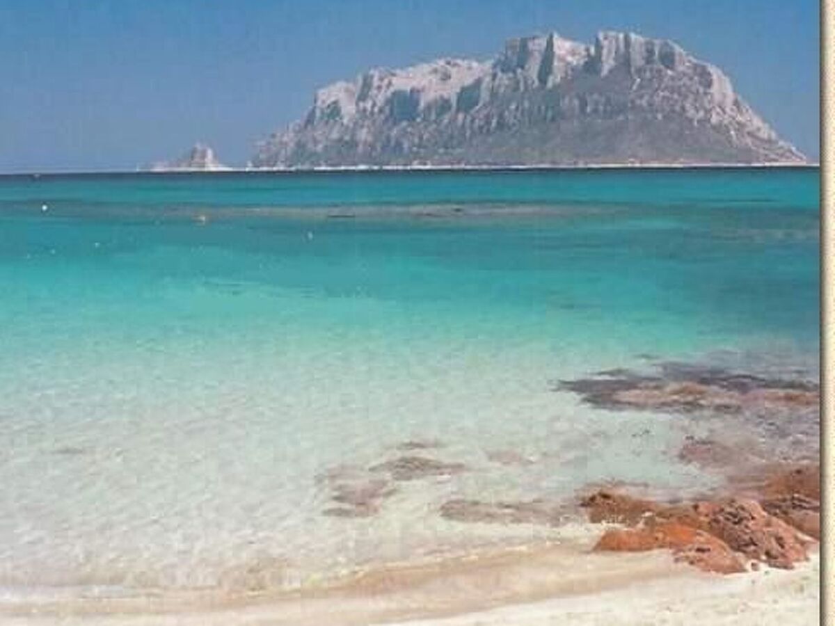 Maison San Teodoro, jardin privé 200m², 1 km plage - Photo 16