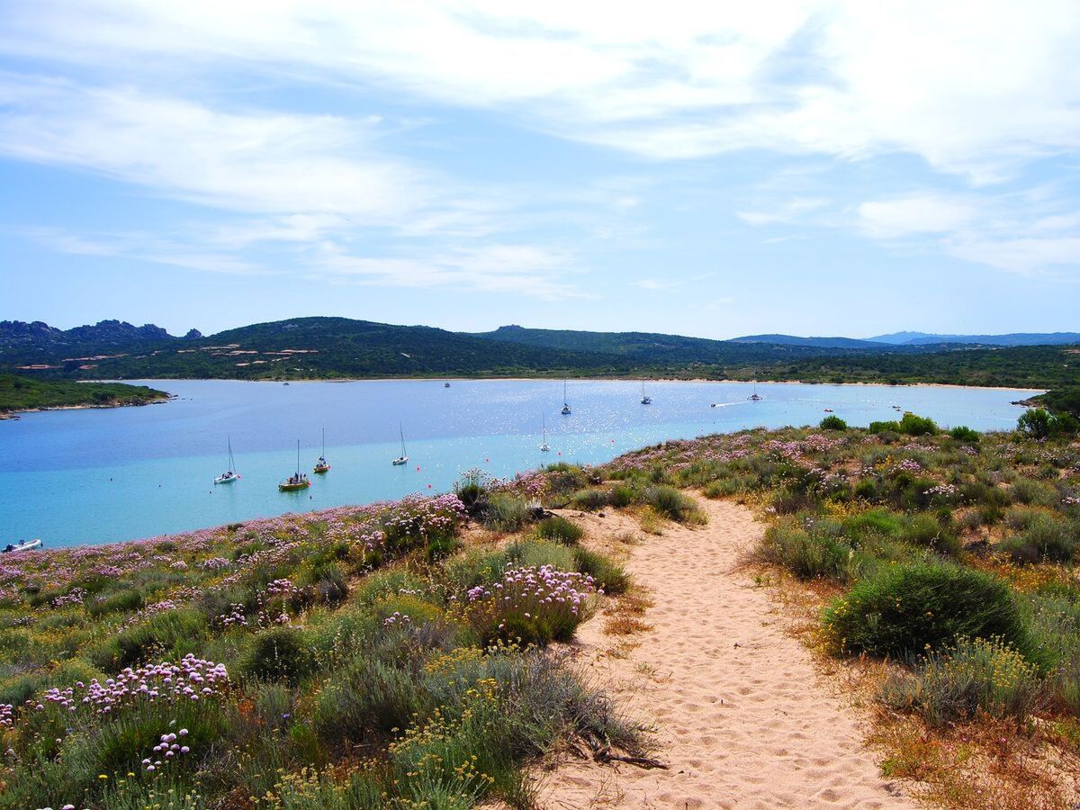 Appartement Il Borgo1 - 400 m de la plage - Photo 18