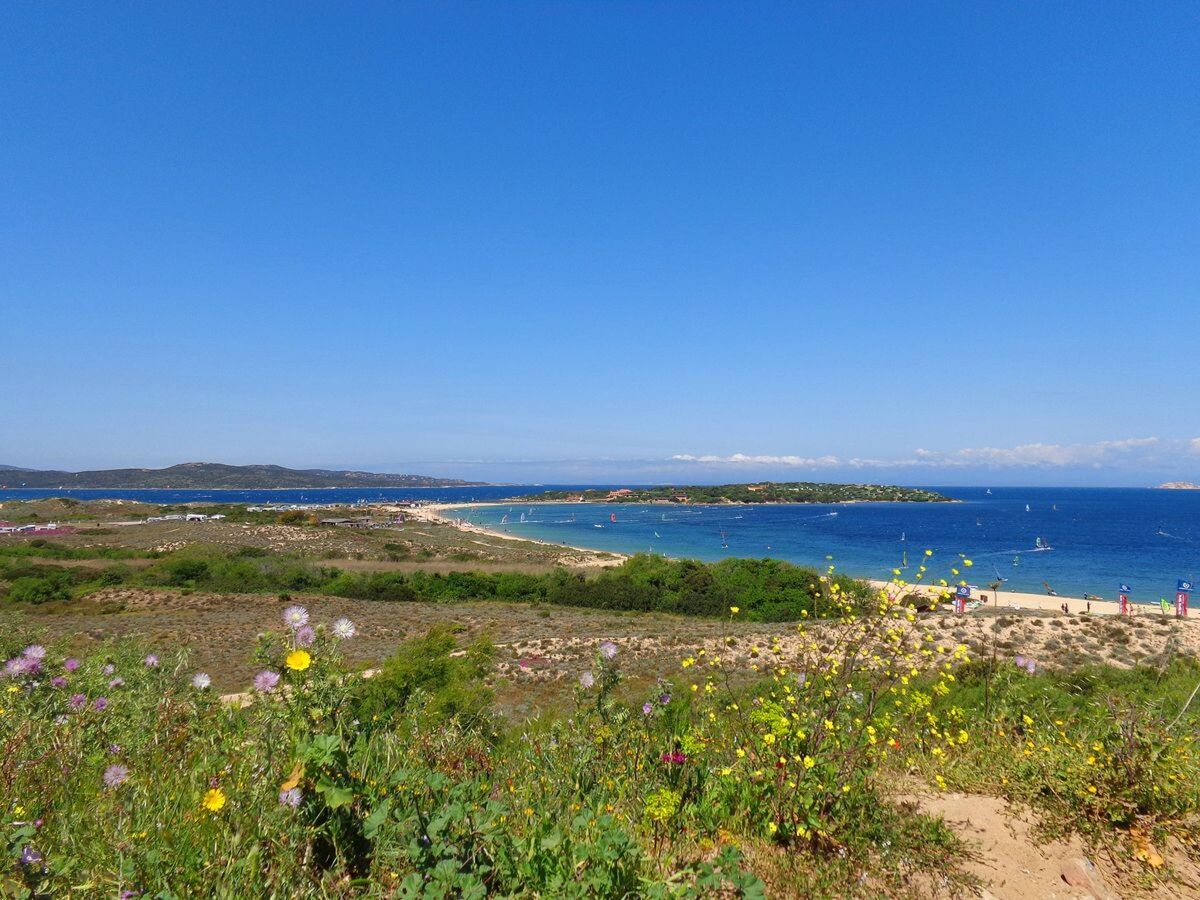 Appartement Il Borgo1 - 400 m de la plage - Photo 20