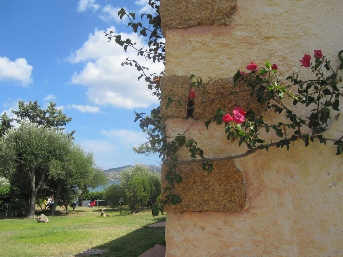 Casa Antonella – Appartement pieds dans l'eau à Cannigione - Photo 18