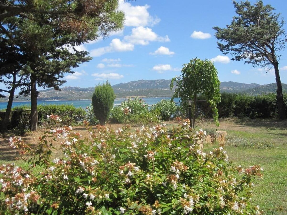 Casa Antonella – Appartement pieds dans l'eau à Cannigione - Photo 19