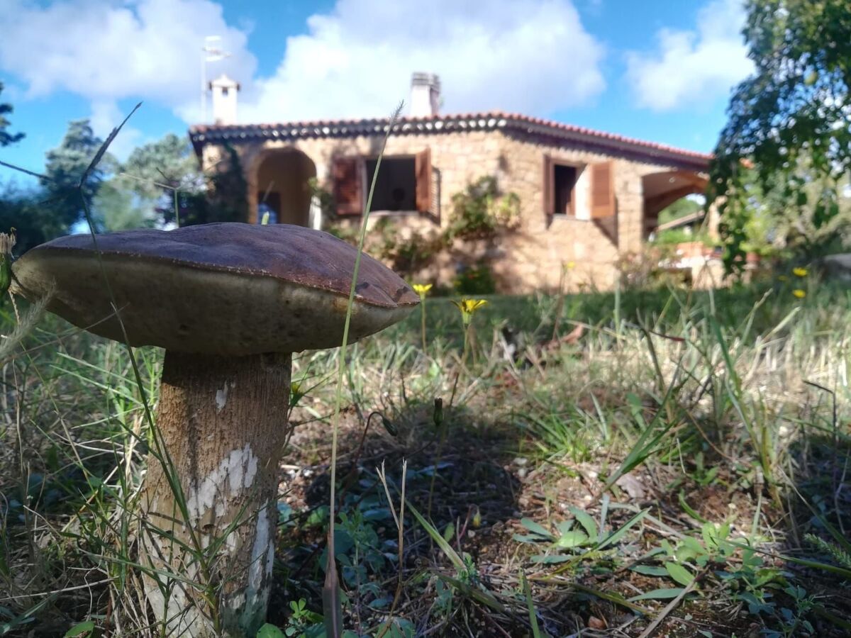 Casa Antonella – Appartement pieds dans l'eau à Cannigione - Photo 23