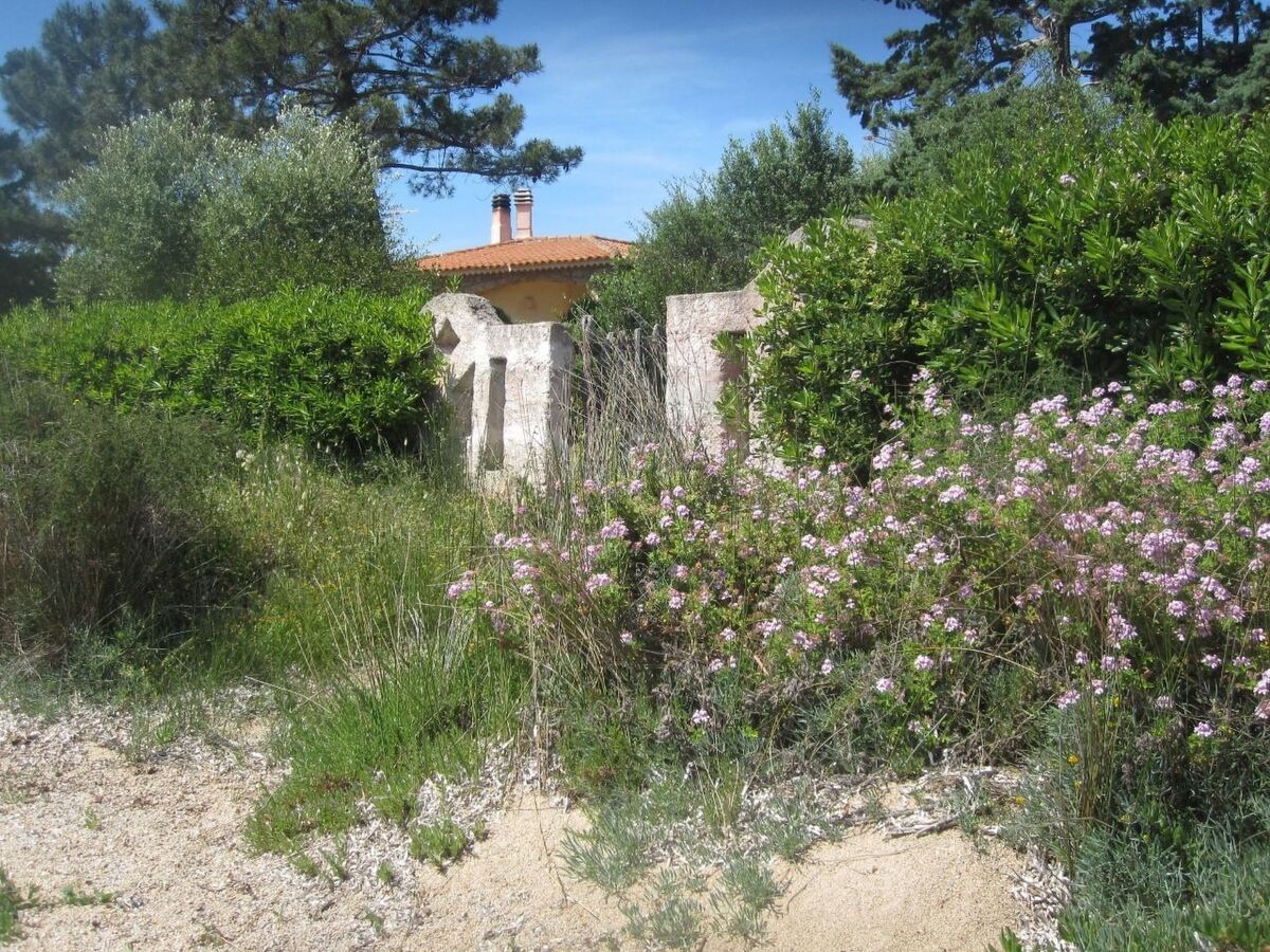Casa Antonella – Appartement pieds dans l'eau à Cannigione - Photo 29