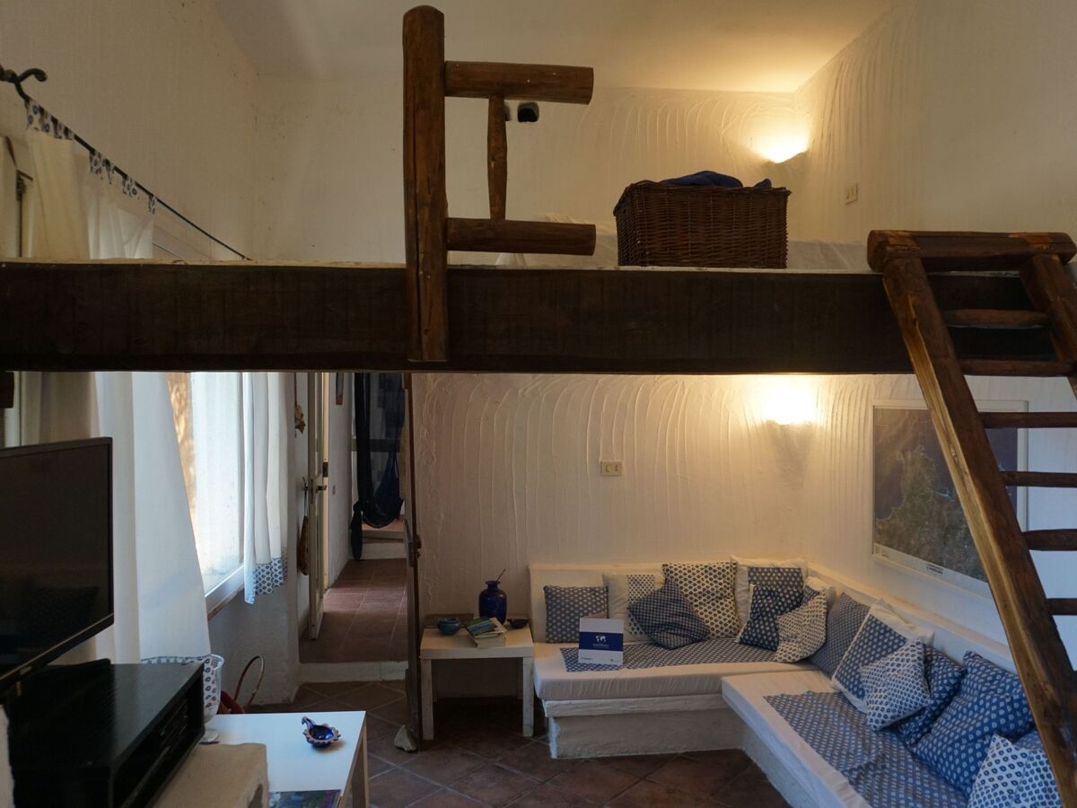 Appartement Sa Selvaggia à Arzachena, 5000 m² nature - Photo 5