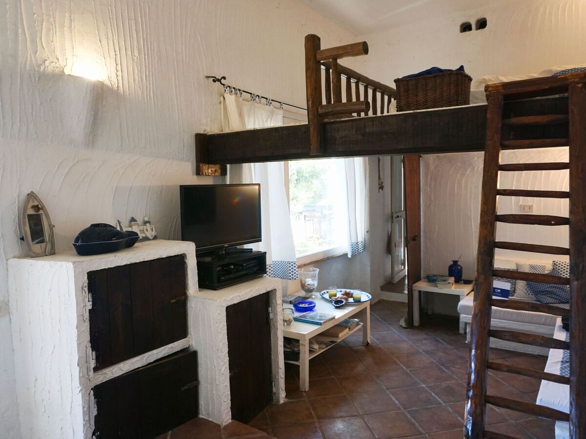 Appartement Sa Selvaggia à Arzachena, 5000 m² nature - Photo 8