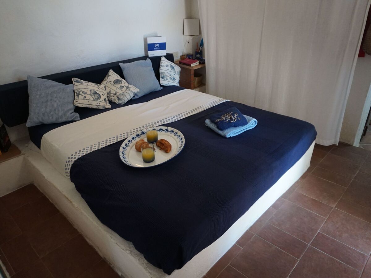 Appartement Sa Selvaggia à Arzachena, 5000 m² nature - Photo 10