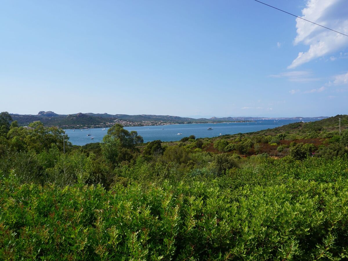 Appartement Sa Selvaggia à Arzachena, 5000 m² nature - Photo 34