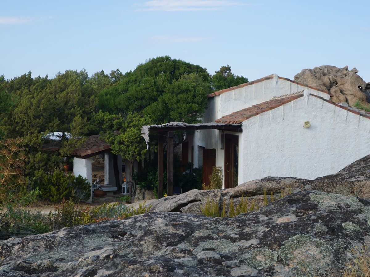 Appartement Sa Selvaggia à Arzachena, 5000 m² nature - Photo 41
