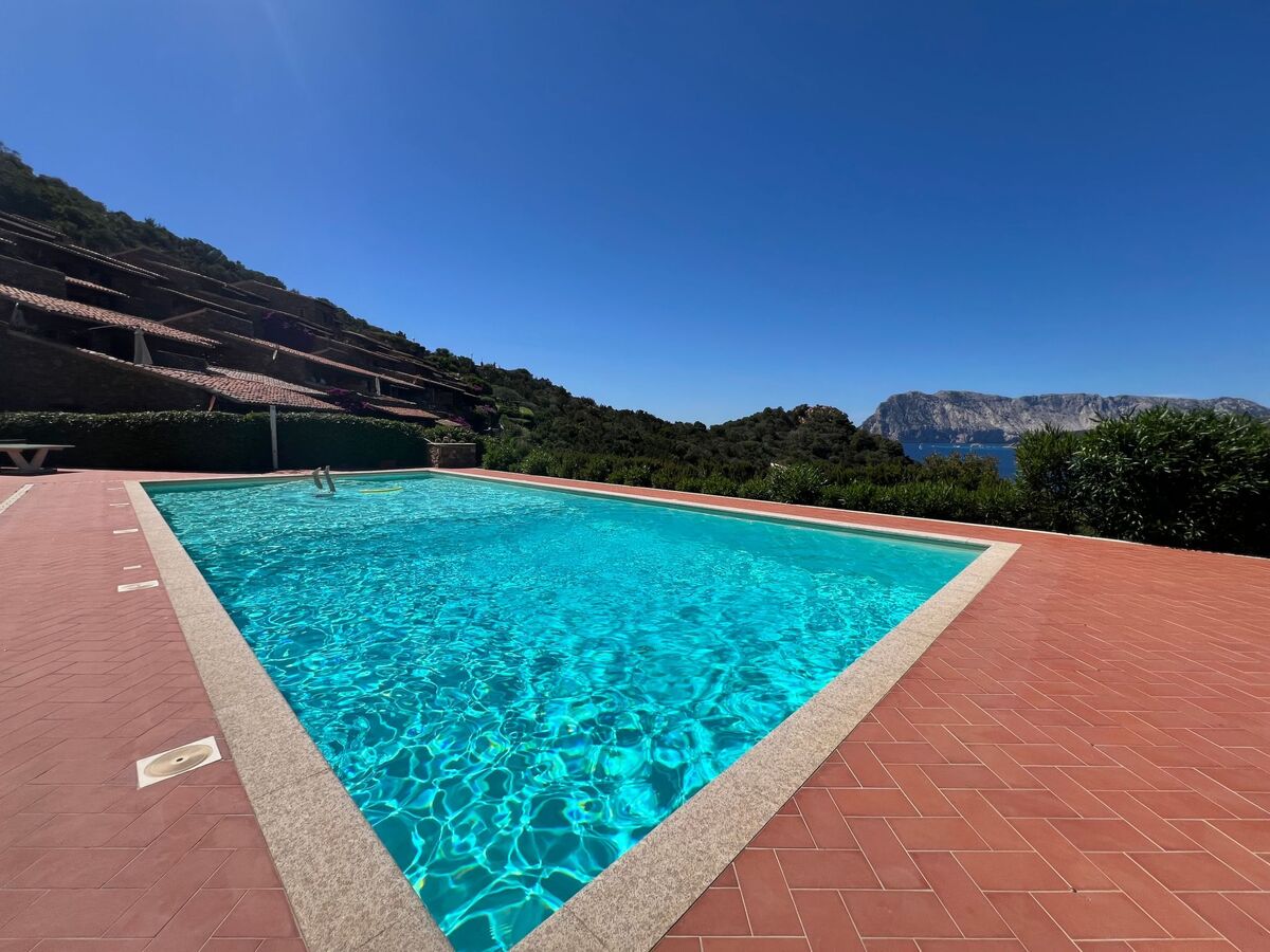 Blue Dawn - Appartement vue mer Capo Coda Cavallo - Photo 7
