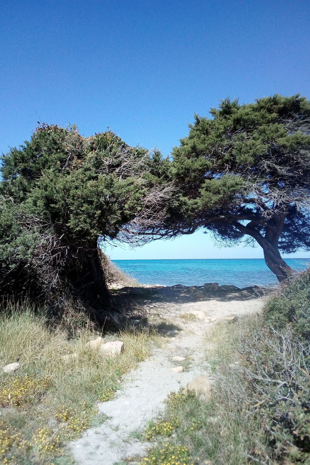 Appartement 6 pers. à 700m de la plage, La Caletta - Photo 45