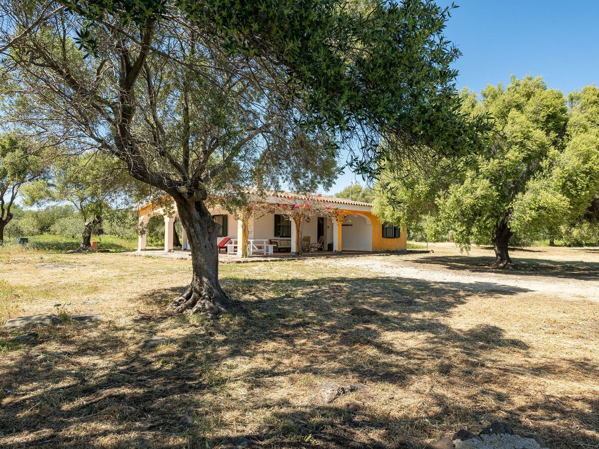 Villetta avec jardin privé à Cala Liberotto - Photo 33