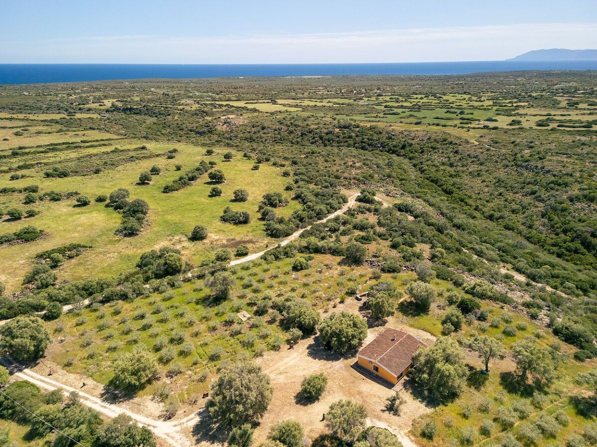 Villetta avec jardin privé à Cala Liberotto - Photo 34