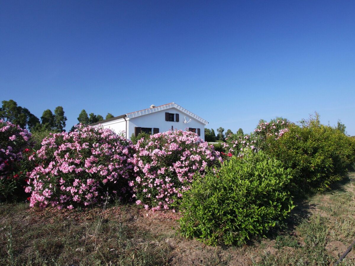 Casa Gollei, maison Sardaigne entre oliviers et plages - Photo 1