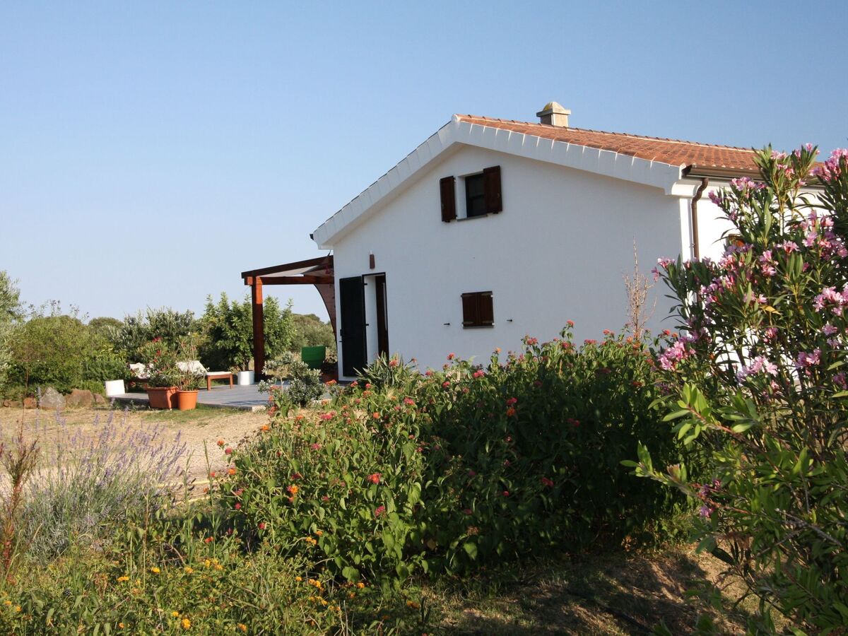 Casa Gollei, maison Sardaigne entre oliviers et plages - Photo 12