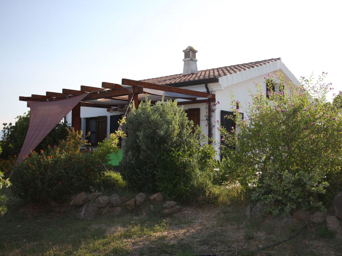 Casa Gollei, maison Sardaigne entre oliviers et plages - Photo 13