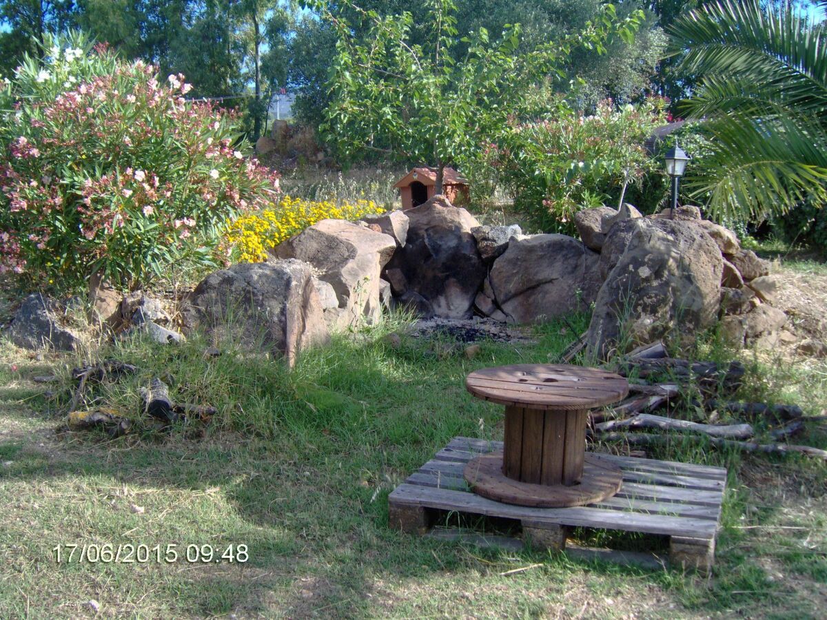 Casa Gollei, maison Sardaigne entre oliviers et plages - Photo 17