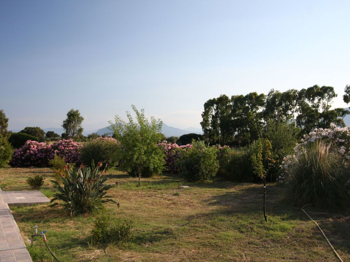 Casa Gollei, maison Sardaigne entre oliviers et plages - Photo 18