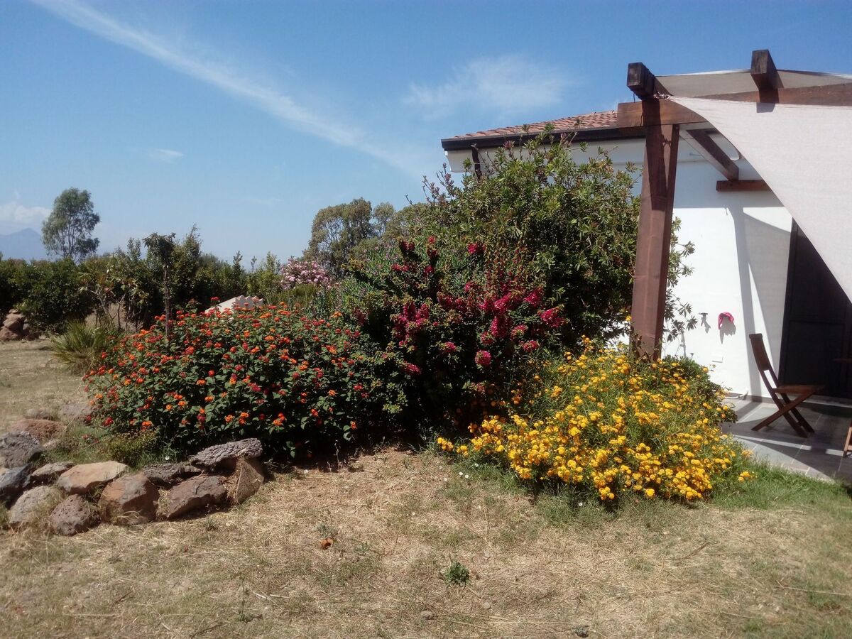 Casa Gollei, maison Sardaigne entre oliviers et plages - Photo 30
