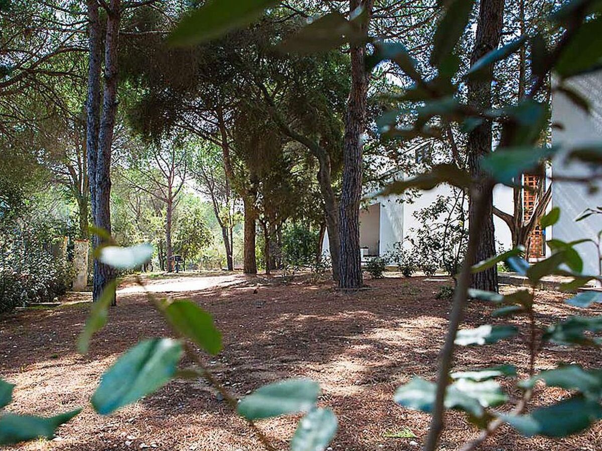 Appartement 2 chambres Cala Liberotto, 100m de la plage - Photo 5
