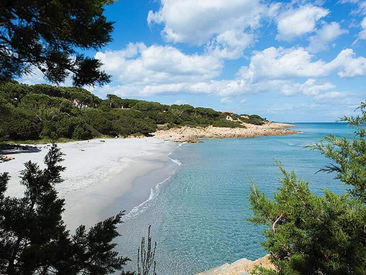 Appartement 2 chambres à 100m de la plage, Cala Liberotto - Photo 17